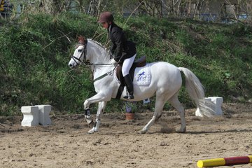 Bild 902 - WBO-Turnier am 9.4.11